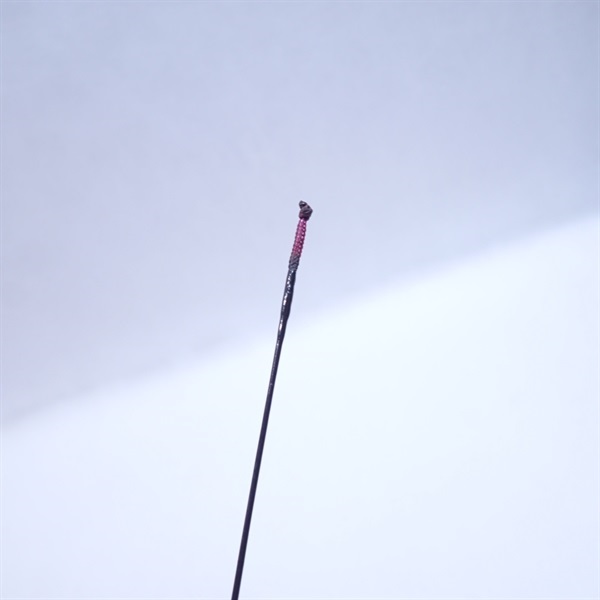 菊秀２．４